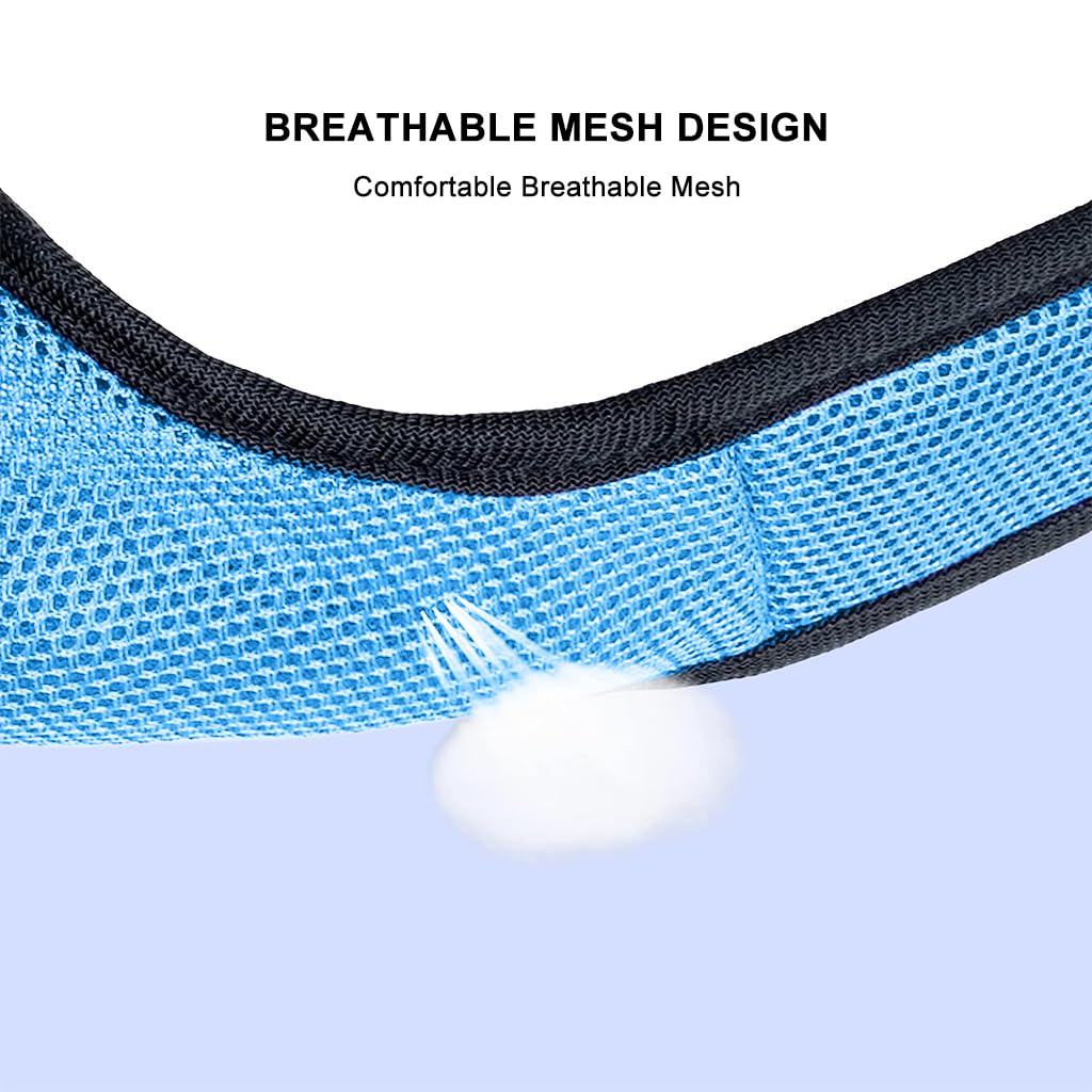 Qpets Rabbit Harness with Leash Breathable Mesh Harness for Rabbit 3.5lbs-6lbs Adjustable Small Pets Harness for Rabbit, Guinea Pigs, Chinchillas (XL, Blue) Qpets Rabbit Harness with Leash Breathable Mesh Harness for Rabbit 3.5lbs-6lbs Adjustable Small Pets Harness for Rabbit, Guinea Pigs, Chinchillas (XL, Blue)